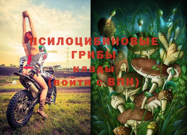 мескалин Абаза