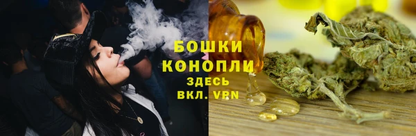 гидропоника Пересвет