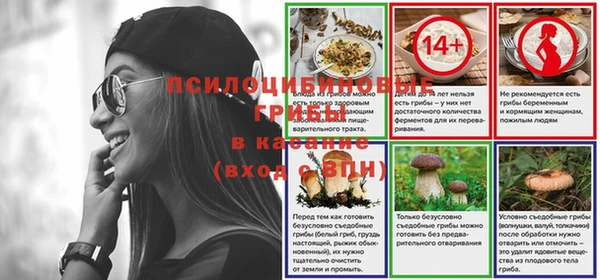 гидропоника Пересвет