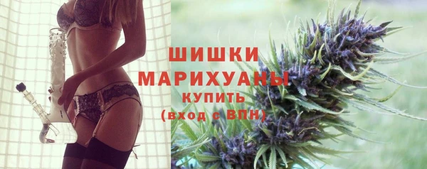 гидропоника Пересвет