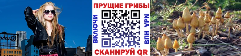 blacksprut ссылки  купить наркоту  Ак-Довурак  Галлюциногенные грибы Psilocybe 
